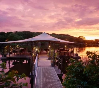 The Ravenala Attitude-1